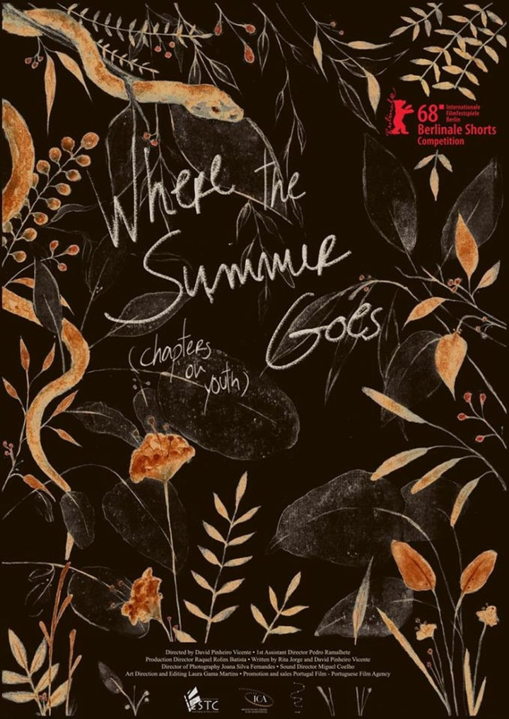 Where the Summer Goes (Chapters on Youth) i gruppen Alla filmer hos Mohamad shop (504990)