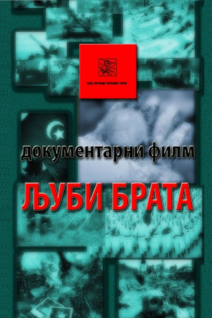 Kiss the Brother i gruppen Alla filmer hos Mohamad shop (505057)