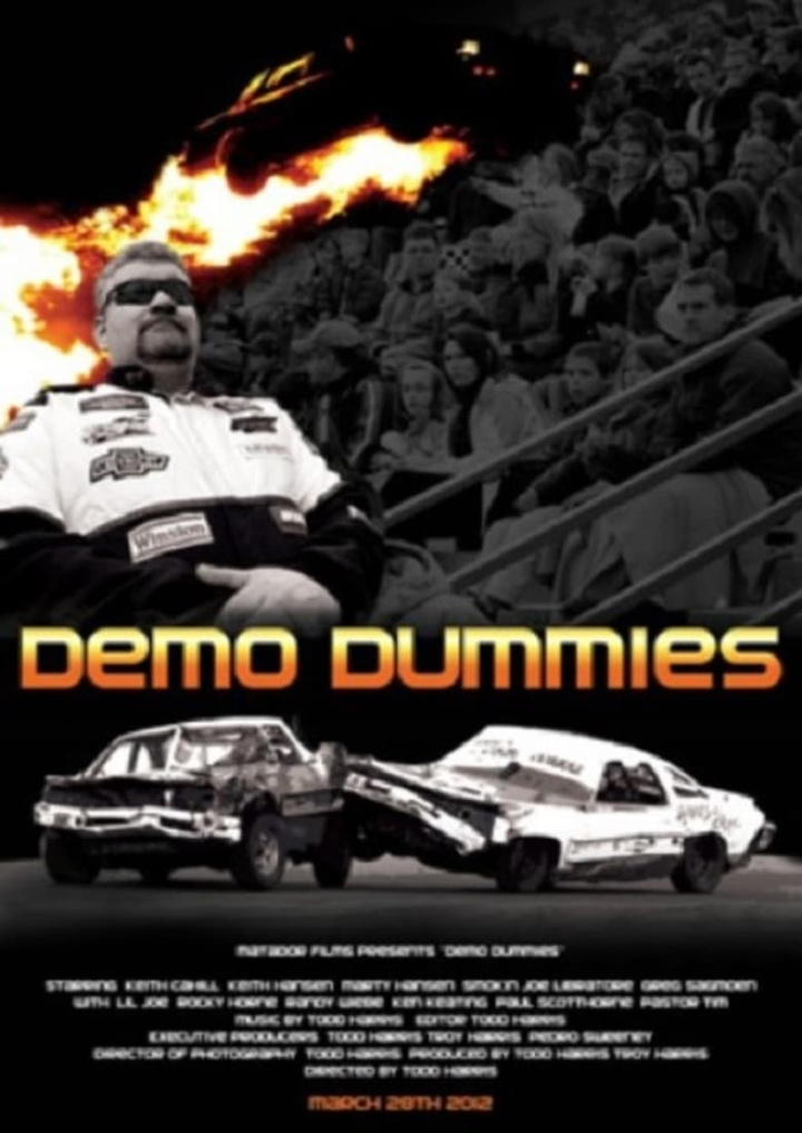 Demo Dummies i gruppen Alla filmer hos Mohamad shop (505135)