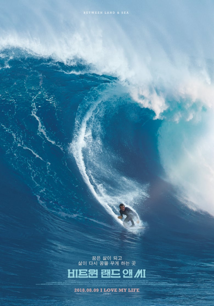 Between Land and Sea i gruppen Alla filmer hos Mohamad shop (505179)