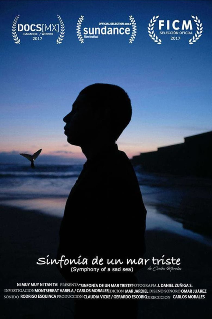 Symphony of a Sad Sea i gruppen Alla filmer hos Mohamad shop (505324)