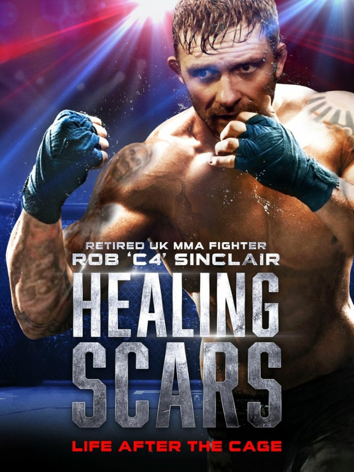 Healing Scars i gruppen Alla filmer hos Mohamad shop (505580)