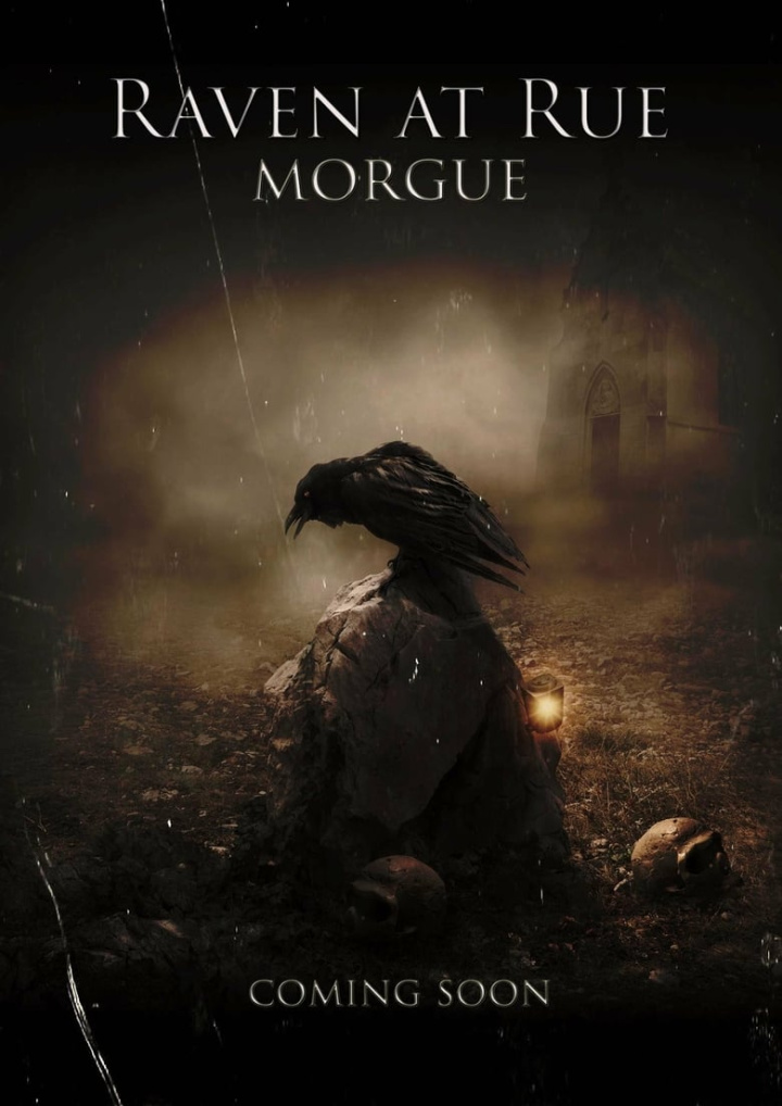 The Raven at Rue Morgue i gruppen Alla filmer hos Mohamad shop (505590)