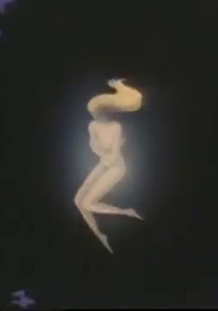 The Oriental Nightfish i gruppen Alla filmer hos Mohamad shop (506494)