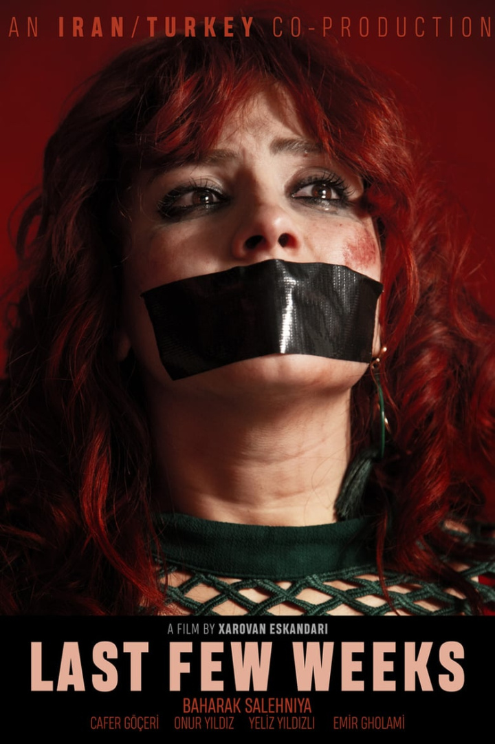 Last Few Weeks i gruppen Alla filmer hos Mohamad shop (506668)