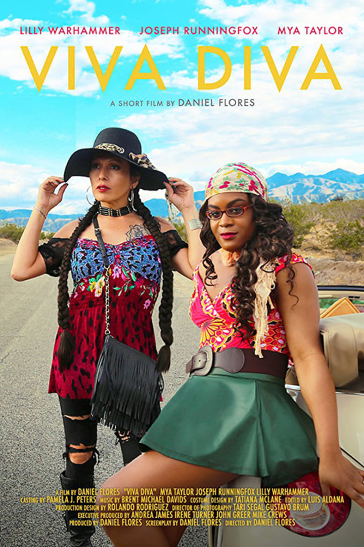 Viva Diva i gruppen Alla filmer hos Mohamad shop (507163)