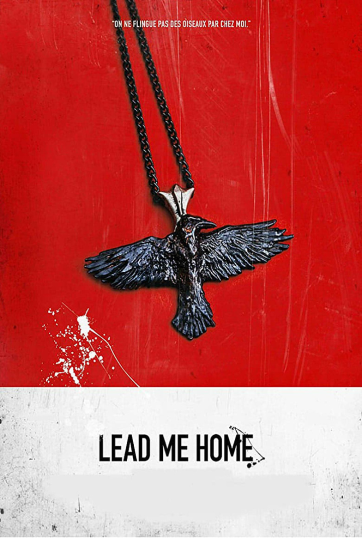 Lead Me Home i gruppen Alla filmer hos Mohamad shop (507278)