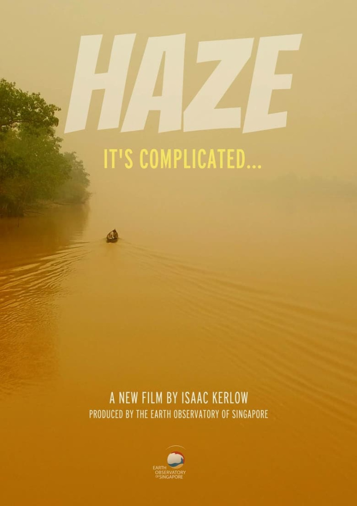 HAZE: It\'s Complicated i gruppen Alla filmer hos Mohamad shop (507364)