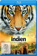 Indien - Auf den Spuren des Tigers