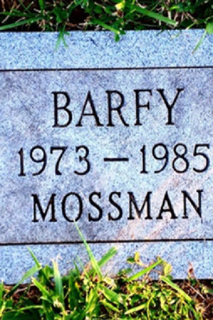 Julius Caesar Was Buried in a Pet Cemetery i gruppen Alla filmer hos Mohamad shop (507403)