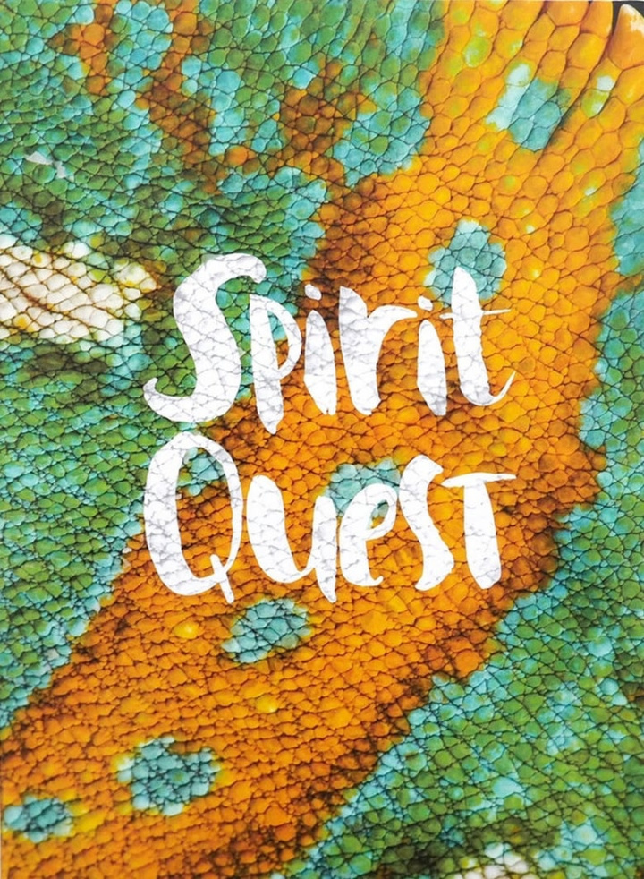 Spirit Quest i gruppen Alla filmer hos Mohamad shop (507416)