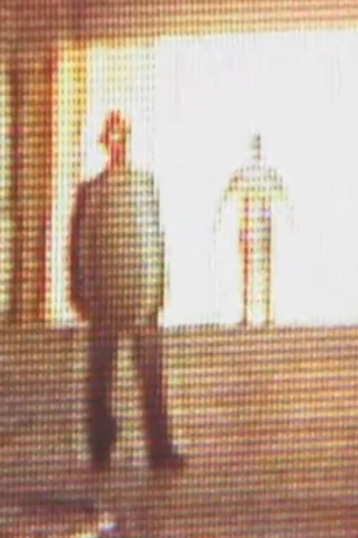 Shrimp Chicken Fish i gruppen Alla filmer hos Mohamad shop (507460)