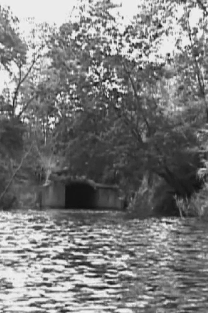 The Name is not the Thing named i gruppen Alla filmer hos Mohamad shop (507482)