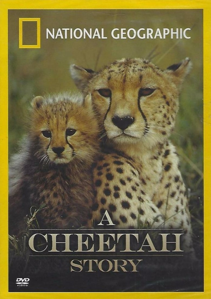 Cheetah Story i gruppen Alla filmer hos Mohamad shop (507945)