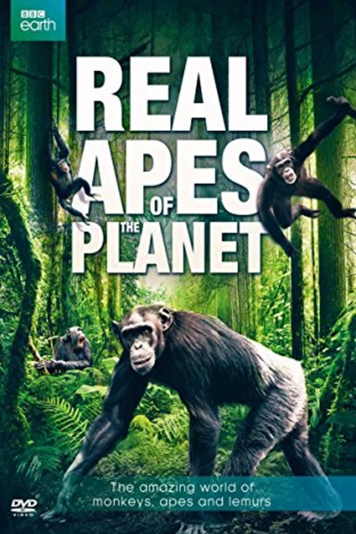 The Real Apes of the Planet i gruppen Alla filmer hos Mohamad shop (508030)