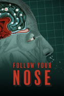 Follow Your Nose: Cracking Smell\'s Code