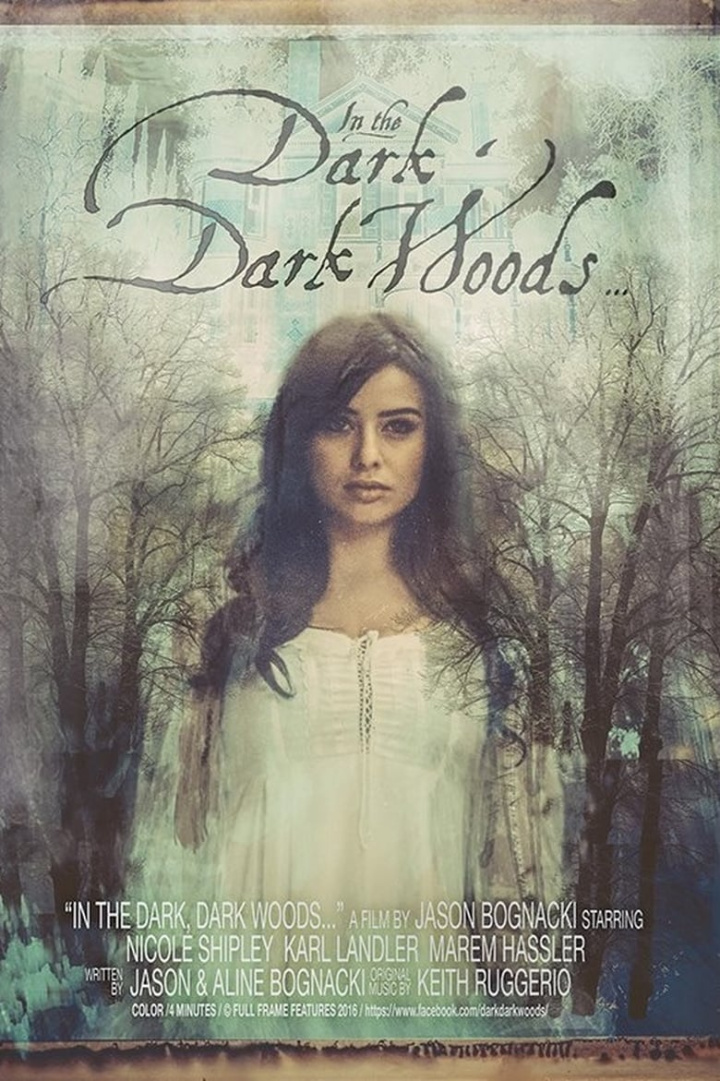 In the Dark, Dark Woods... i gruppen Alla filmer hos Mohamad shop (508999)