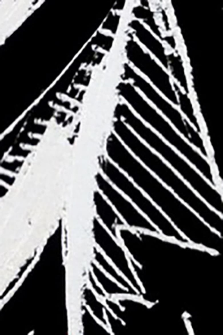 Measure i gruppen Alla filmer hos Mohamad shop (509062)