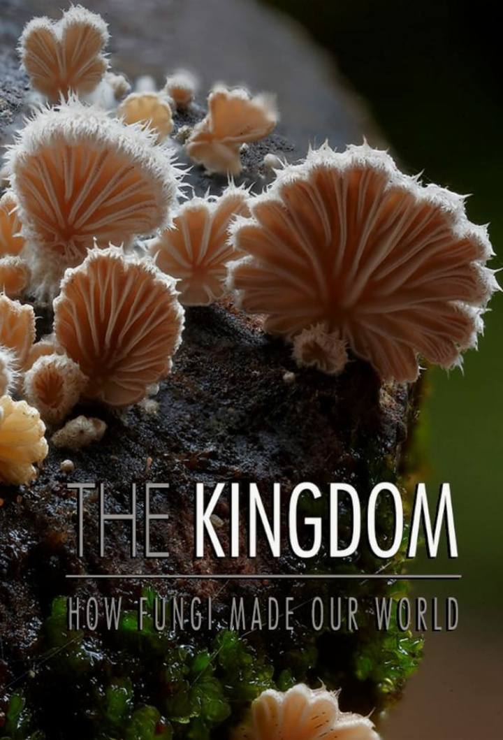 The Kingdom: How Fungi Made Our World i gruppen Alla filmer hos Mohamad shop (509250)