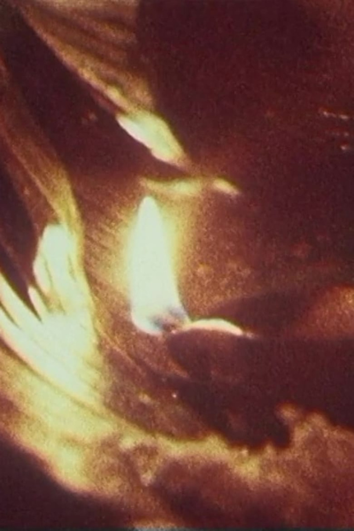 Die Hexer von Veyangoda i gruppen Alla filmer hos Mohamad shop (509293)