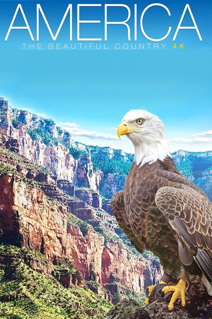 America - The Beautiful Country i gruppen Alla filmer hos Mohamad shop (509311)