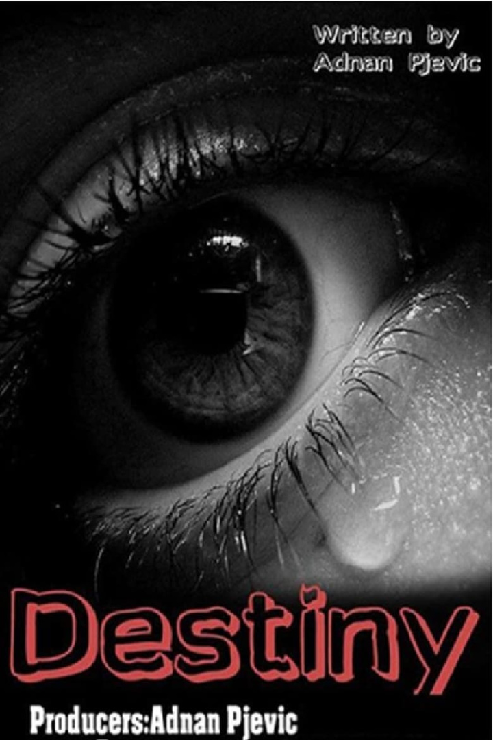 Destiny i gruppen Alla filmer hos Mohamad shop (509377)