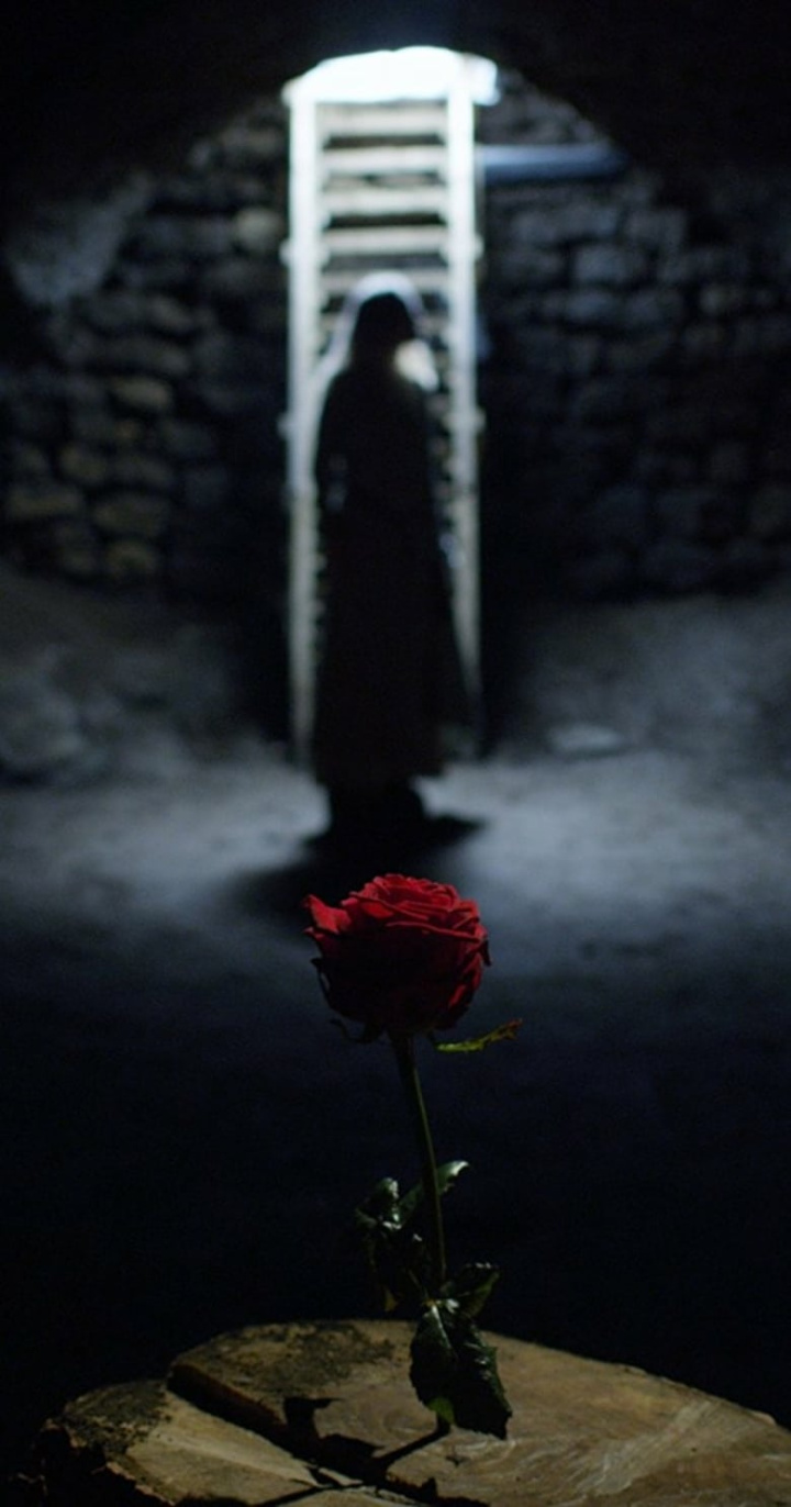 Beast i gruppen Alla filmer hos Mohamad shop (509447)