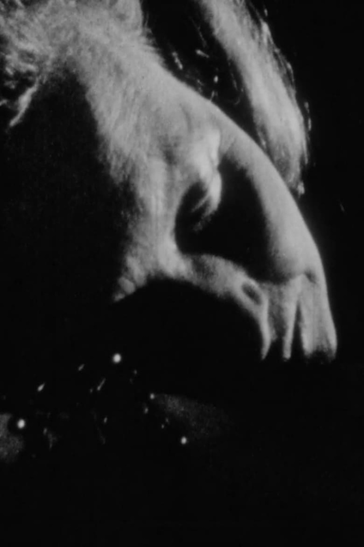 The White Hands i gruppen Alla filmer hos Mohamad shop (509469)