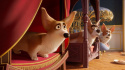 The Queen\'s Corgi