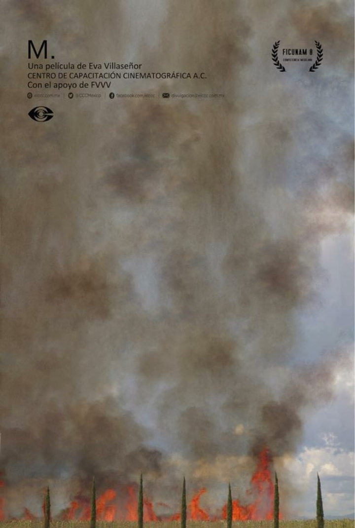 M. i gruppen Alla filmer hos Mohamad shop (510033)