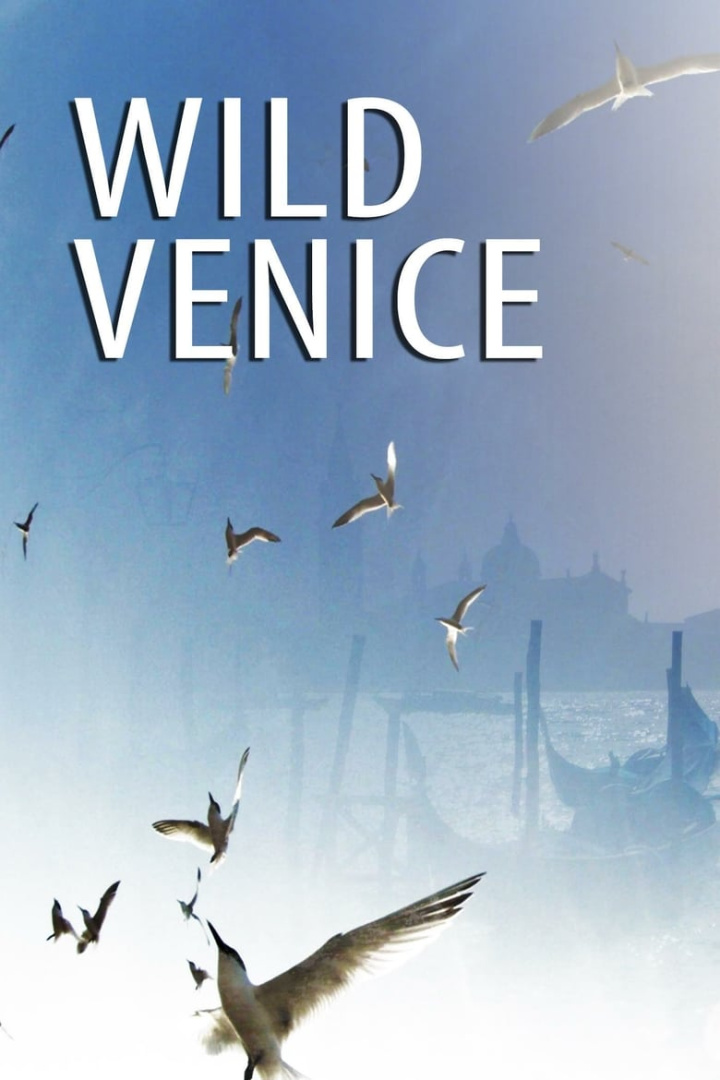 Wild Venice i gruppen Alla filmer hos Mohamad shop (510139)