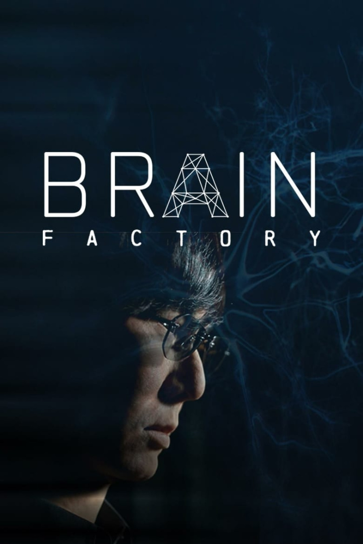Brain Factory i gruppen Alla filmer hos Mohamad shop (510234)