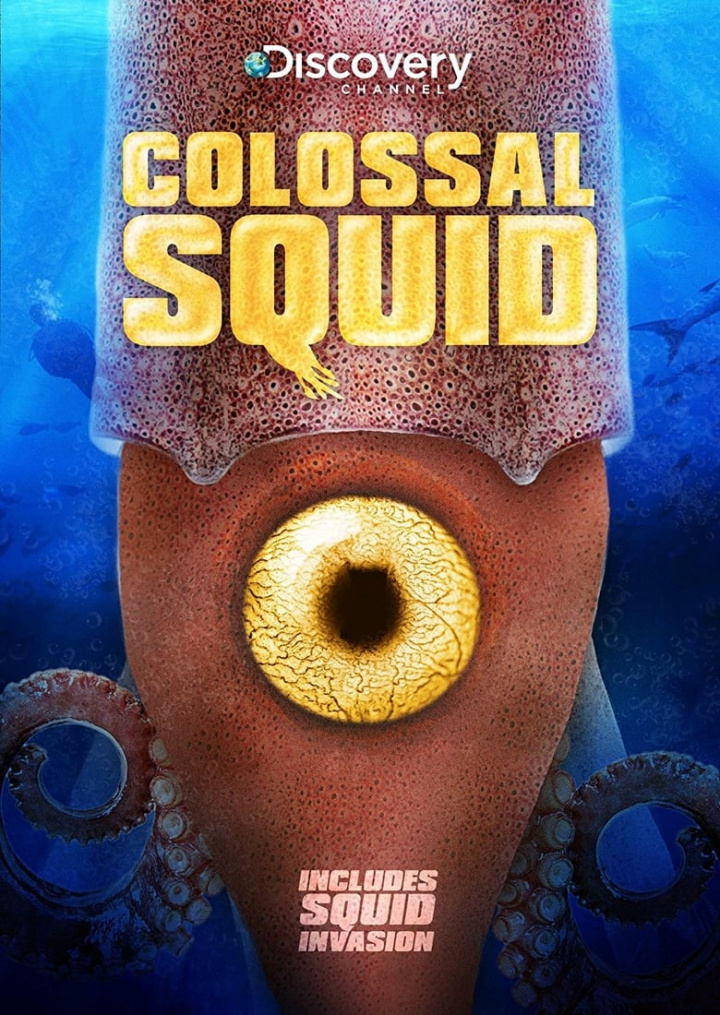 Colossal Squid i gruppen Alla filmer hos Mohamad shop (510261)