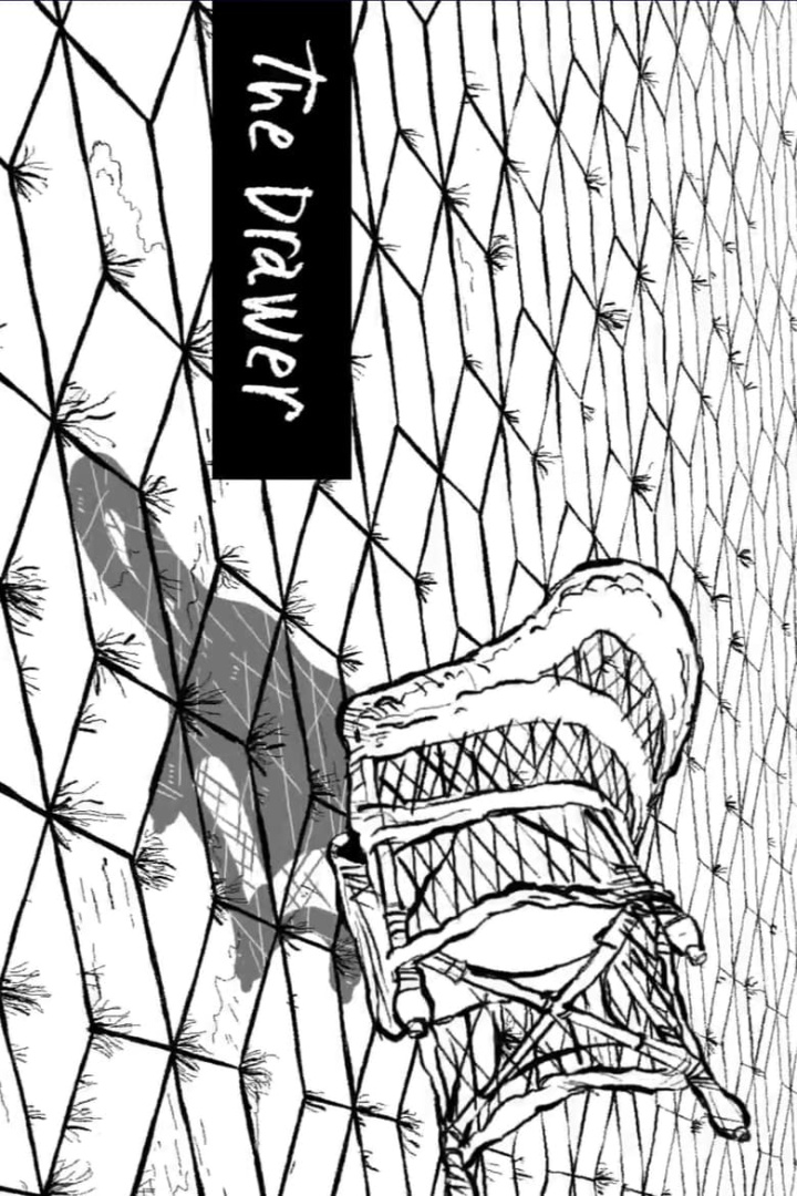 The Drawer i gruppen Alla filmer hos Mohamad shop (511035)