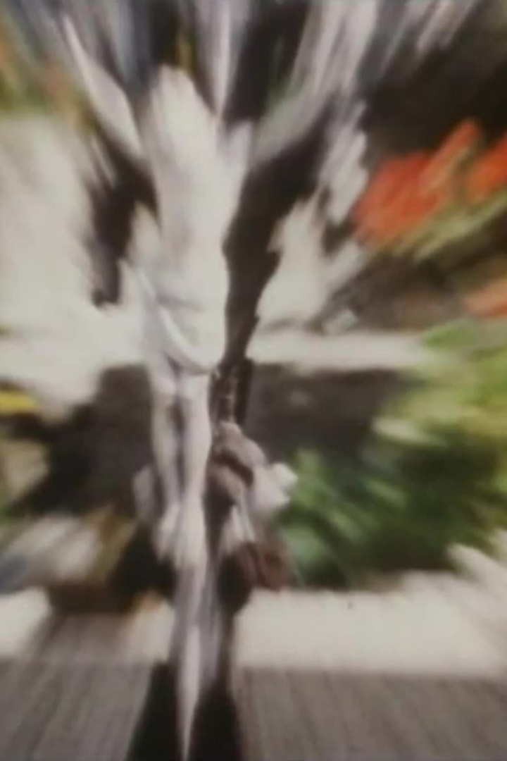 Reseminne i gruppen Alla filmer hos Mohamad shop (511720)