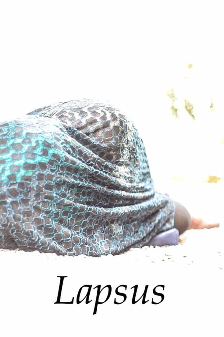 Lapsus i gruppen Alla filmer hos Mohamad shop (511729)