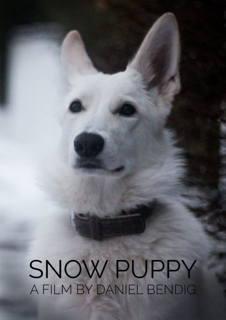 Snow Puppy i gruppen Alla filmer hos Mohamad shop (511823)