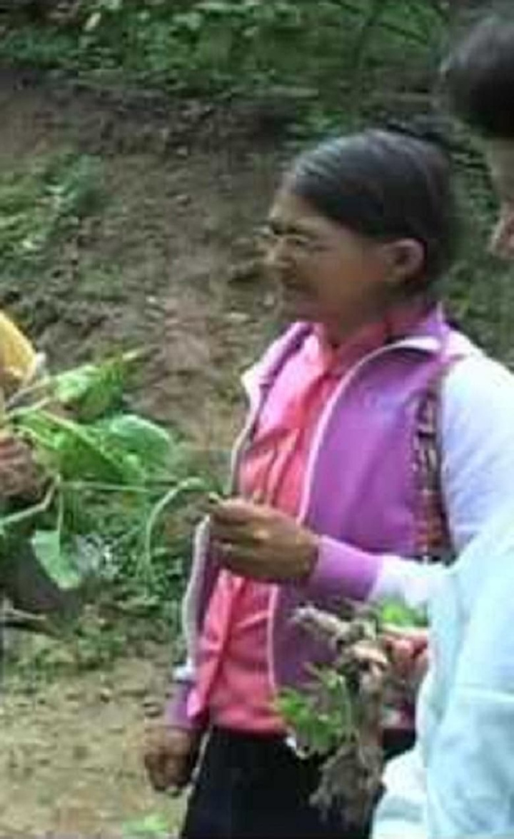 Farmácia Verde do Sertão i gruppen Alla filmer hos Mohamad shop (512174)