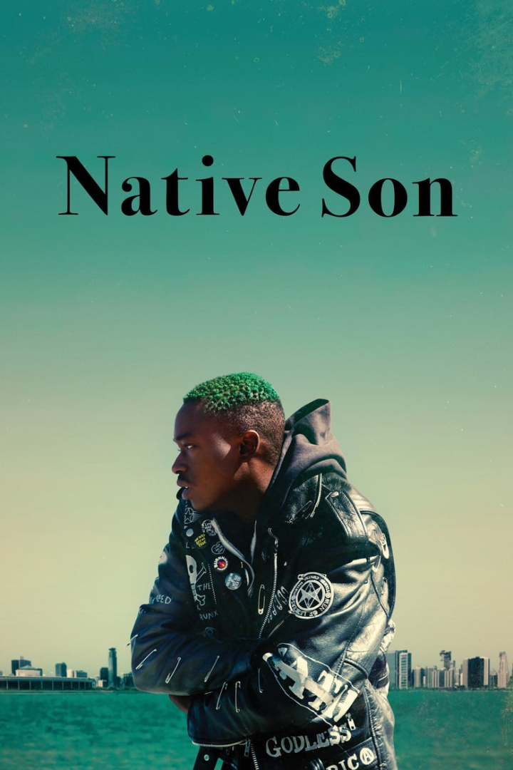 Native Son i gruppen Alla filmer hos Mohamad shop (512199)