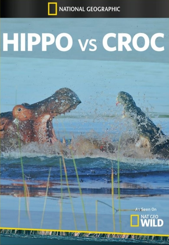 Hippo vs Croc i gruppen Alla filmer hos Mohamad shop (512577)