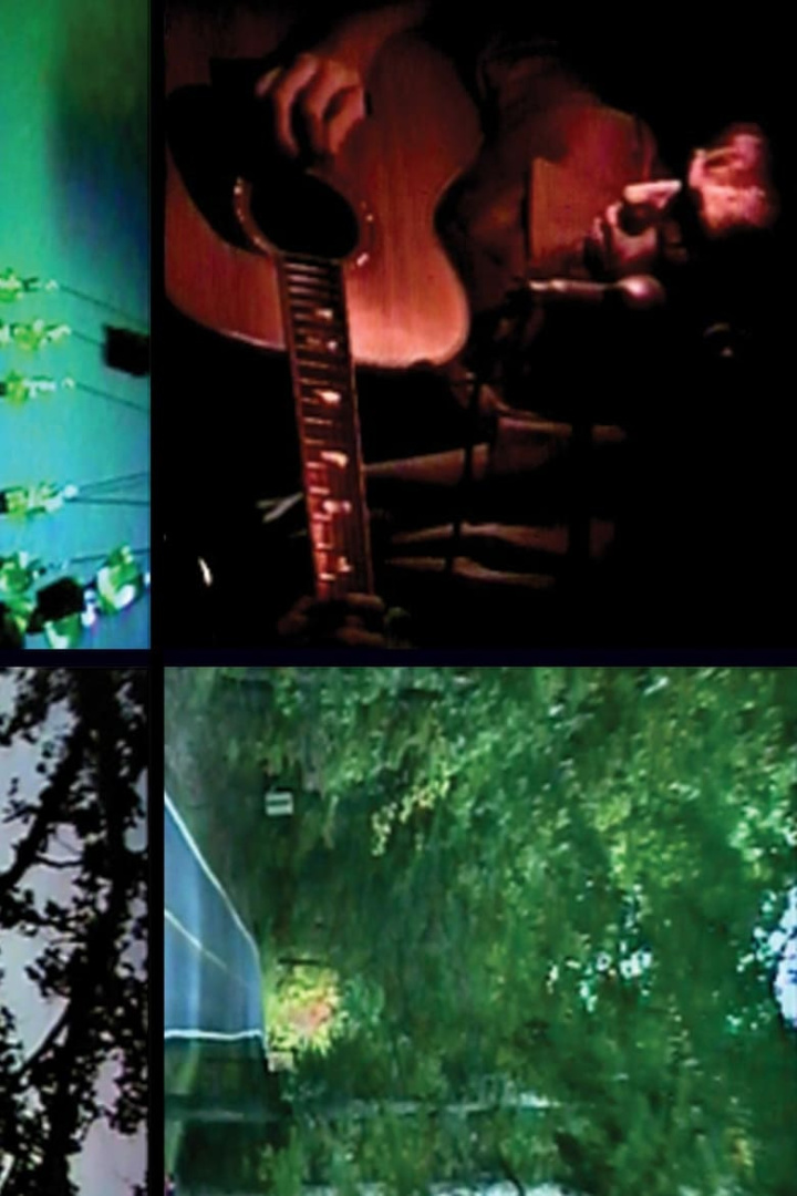 Youth Museum i gruppen Alla filmer hos Mohamad shop (512667)