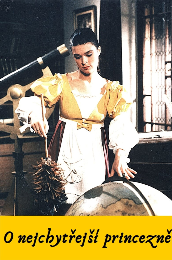 O nejchytřejší princezně i gruppen Alla filmer hos Mohamad shop (512789)