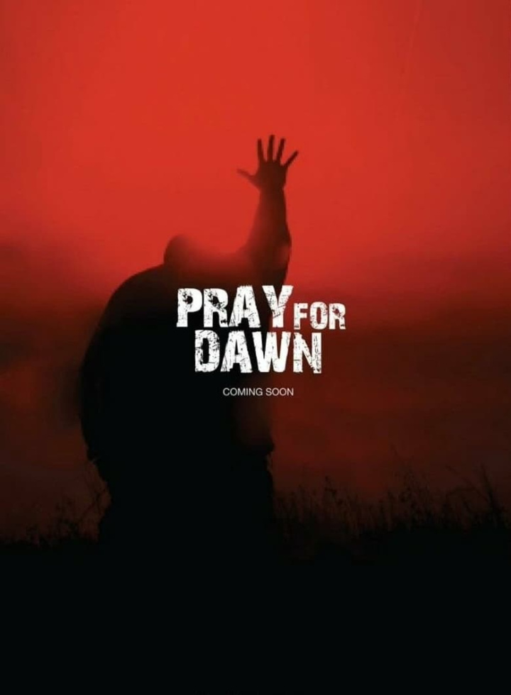 Pray for Dawn i gruppen Alla filmer hos Mohamad shop (512854)