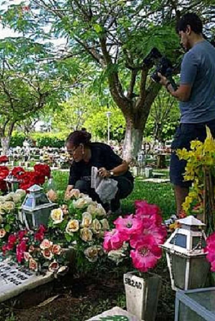 Movida, pela Vida i gruppen Alla filmer hos Mohamad shop (513019)