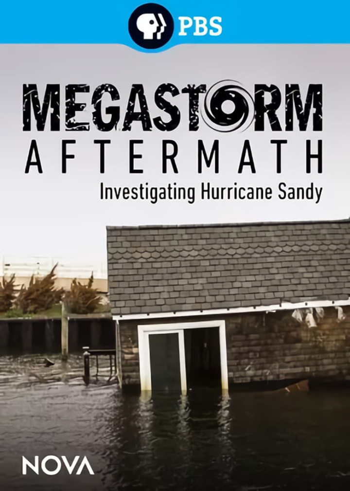 Megastorm Aftermath i gruppen Alla filmer hos Mohamad shop (513084)