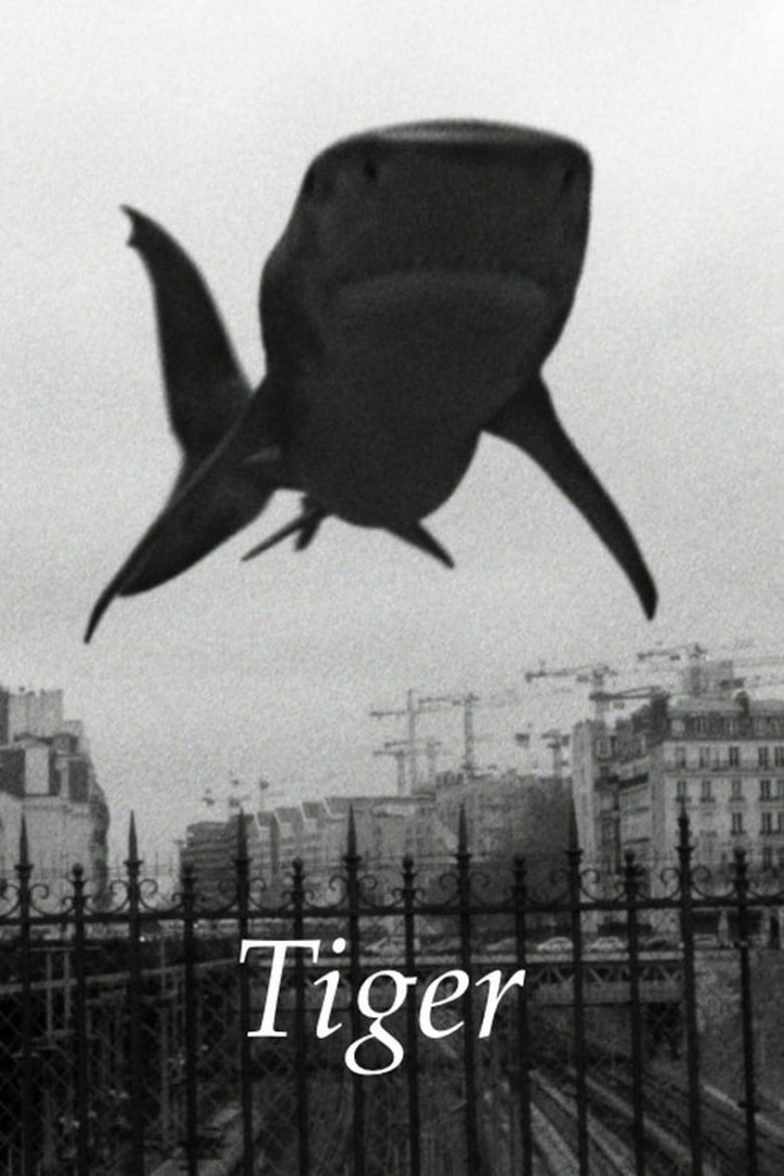 Tiger i gruppen Alla filmer hos Mohamad shop (513375)