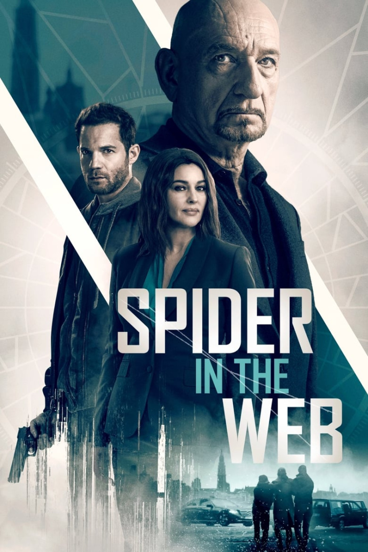 Spider in the Web i gruppen Alla filmer hos Mohamad shop (513413)