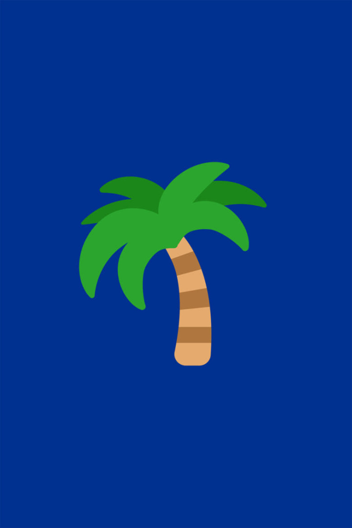 Palmetto State Walking Tour i gruppen Alla filmer hos Mohamad shop (513419)