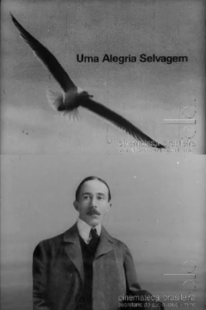 Uma Alegria Selvagem i gruppen Alla filmer hos Mohamad shop (513459)