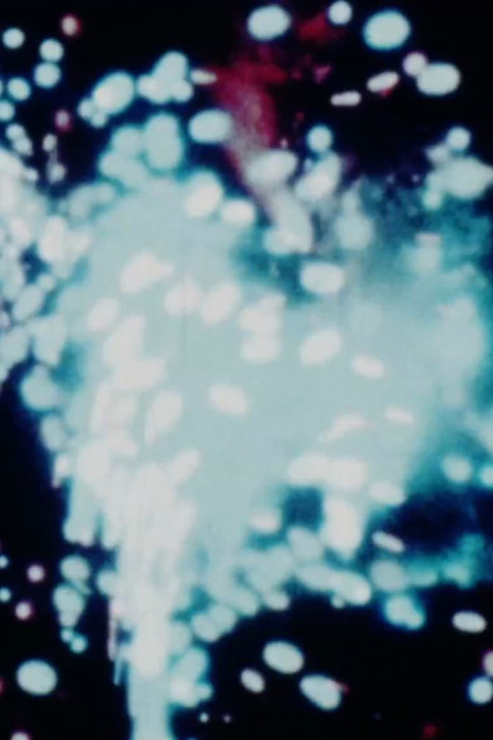 Fireworks i gruppen Alla filmer hos Mohamad shop (513526)